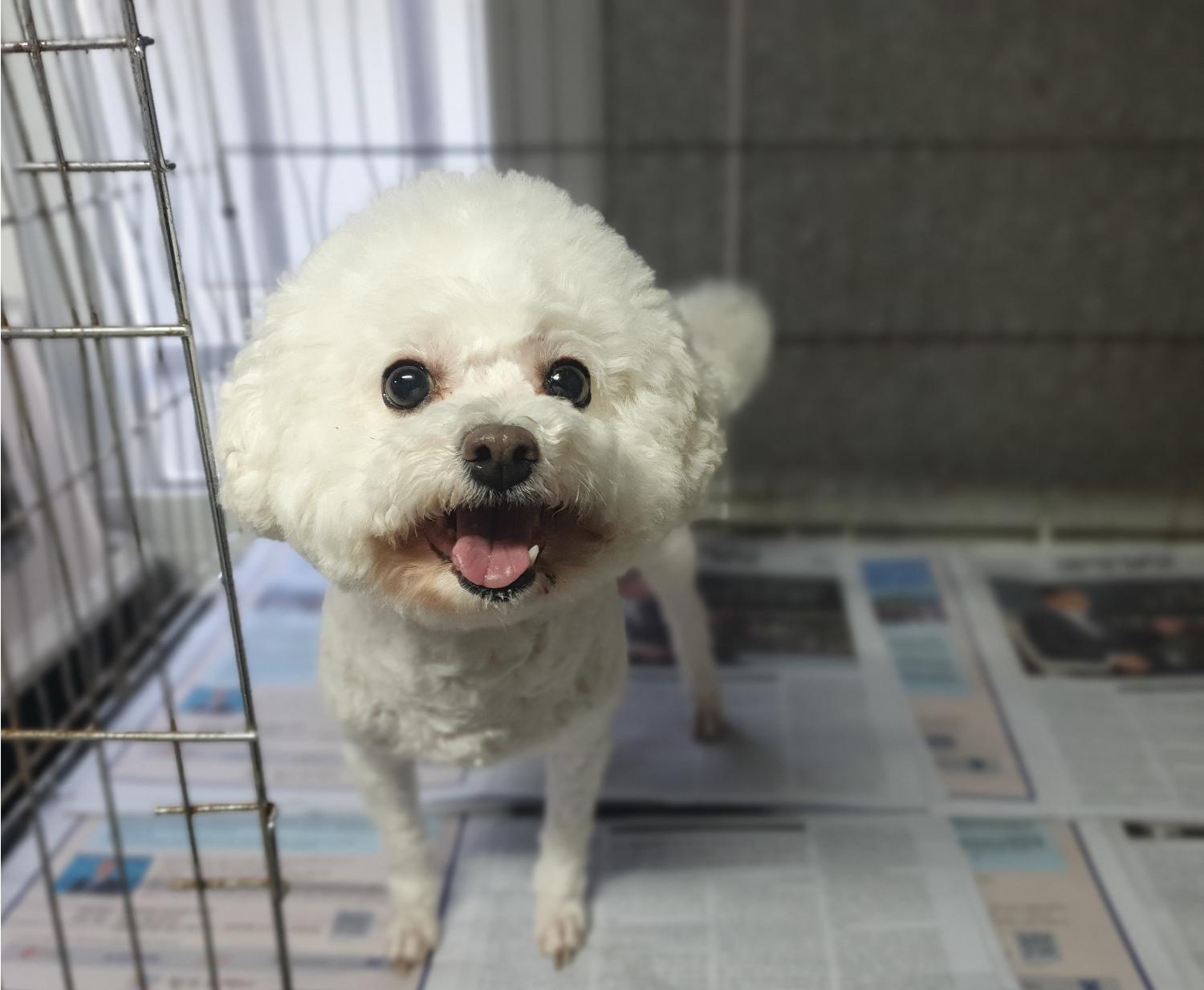 창원유기동물보호소_448567202400884